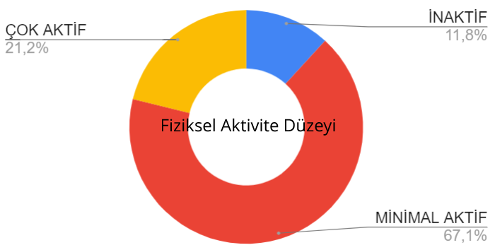 fiziksel aktivite düzeyi