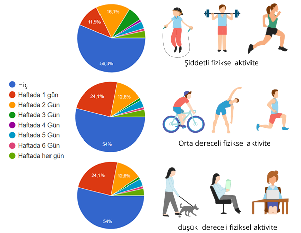 fiziksel aktivite düzeyi